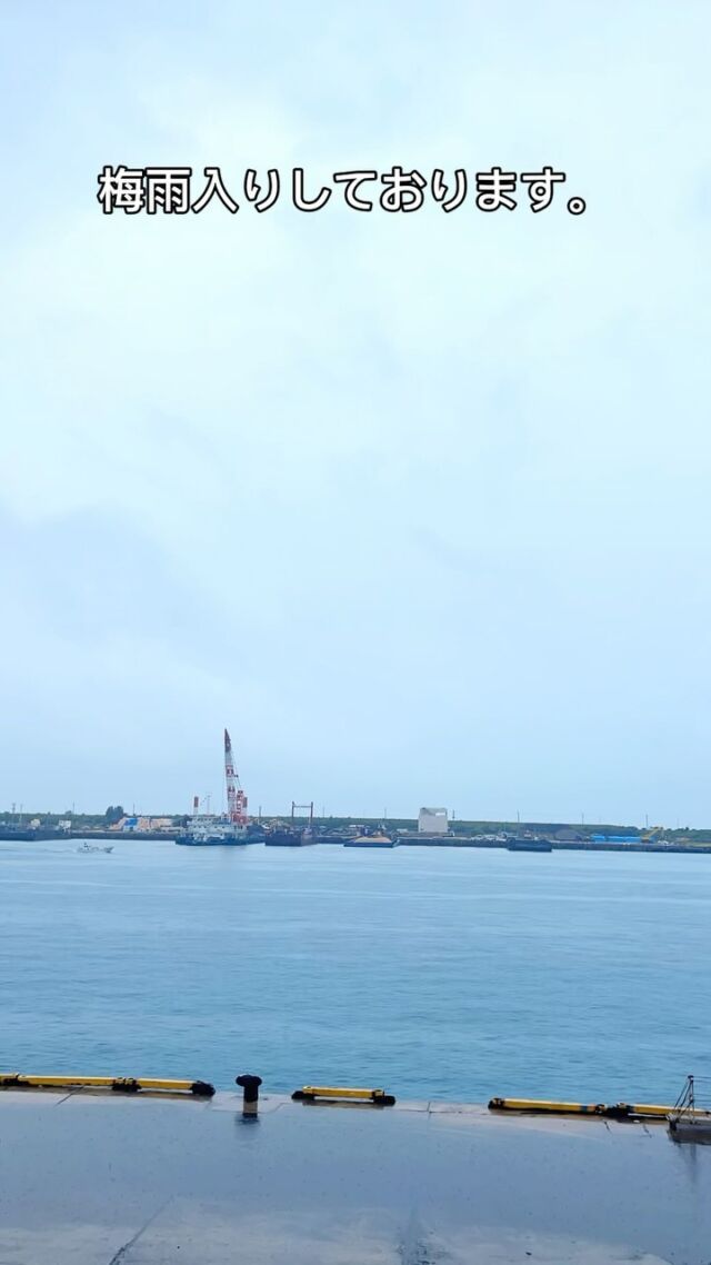 公式】リトルマーメイドホテル石垣島 | 石垣島ホテル┃フサキ